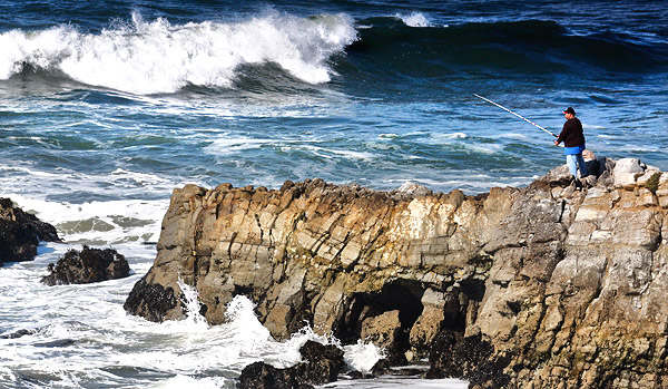 Photo tour image of California's central coast