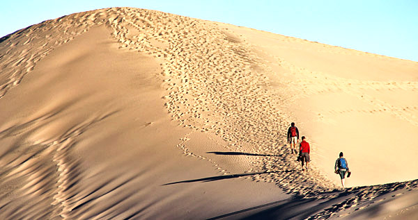 California's Coast, Desert and the Sierra-Nevada photography tour image