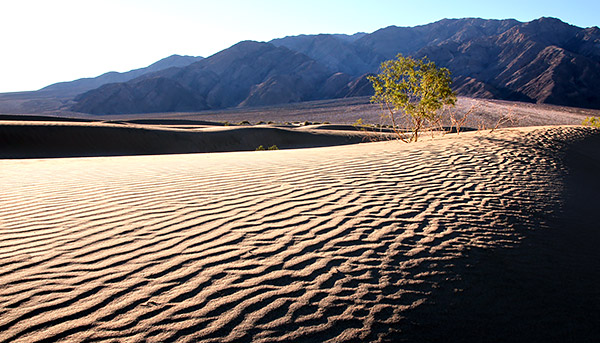 California's Coast, Desert and the Sierra-Nevada photography tour image