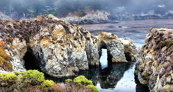 California's Coast, Desert and the Sierra-Nevada photography tour image