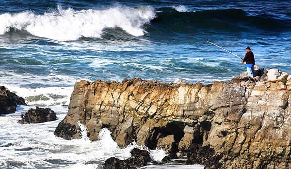 California's Coast, Desert and the Sierra-Nevada photography tour image