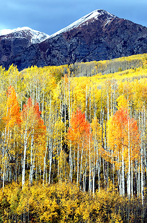 Photo tour image from the Colorado Rockies