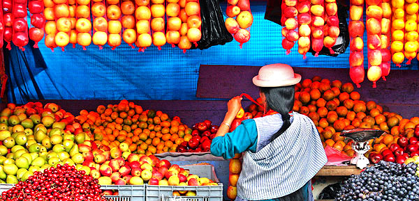 Photo tours to the Galapagos Islands and Cloud Forest, Ecuador