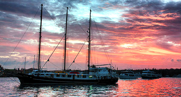 Photo tours to the Galapagos Islands and Cloud Forest, Ecuador