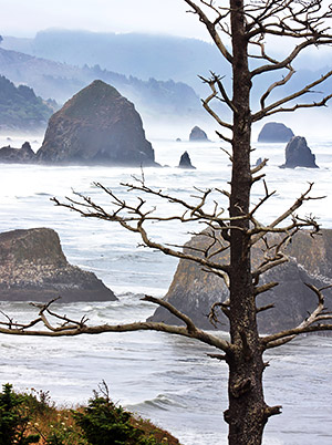 Pacific Northwest photo, Oregon and Washington, USA