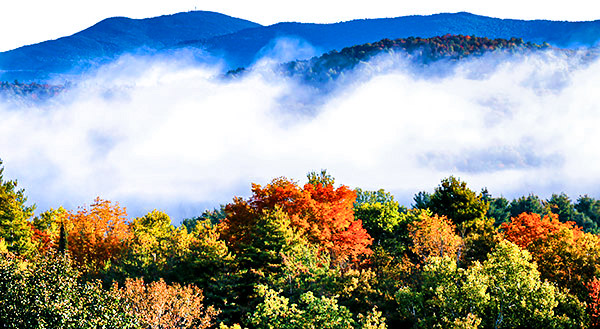 Hillside color and fog, Vermont, New England
