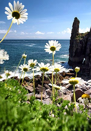 Photo tour image of Wales [Cymru] UK